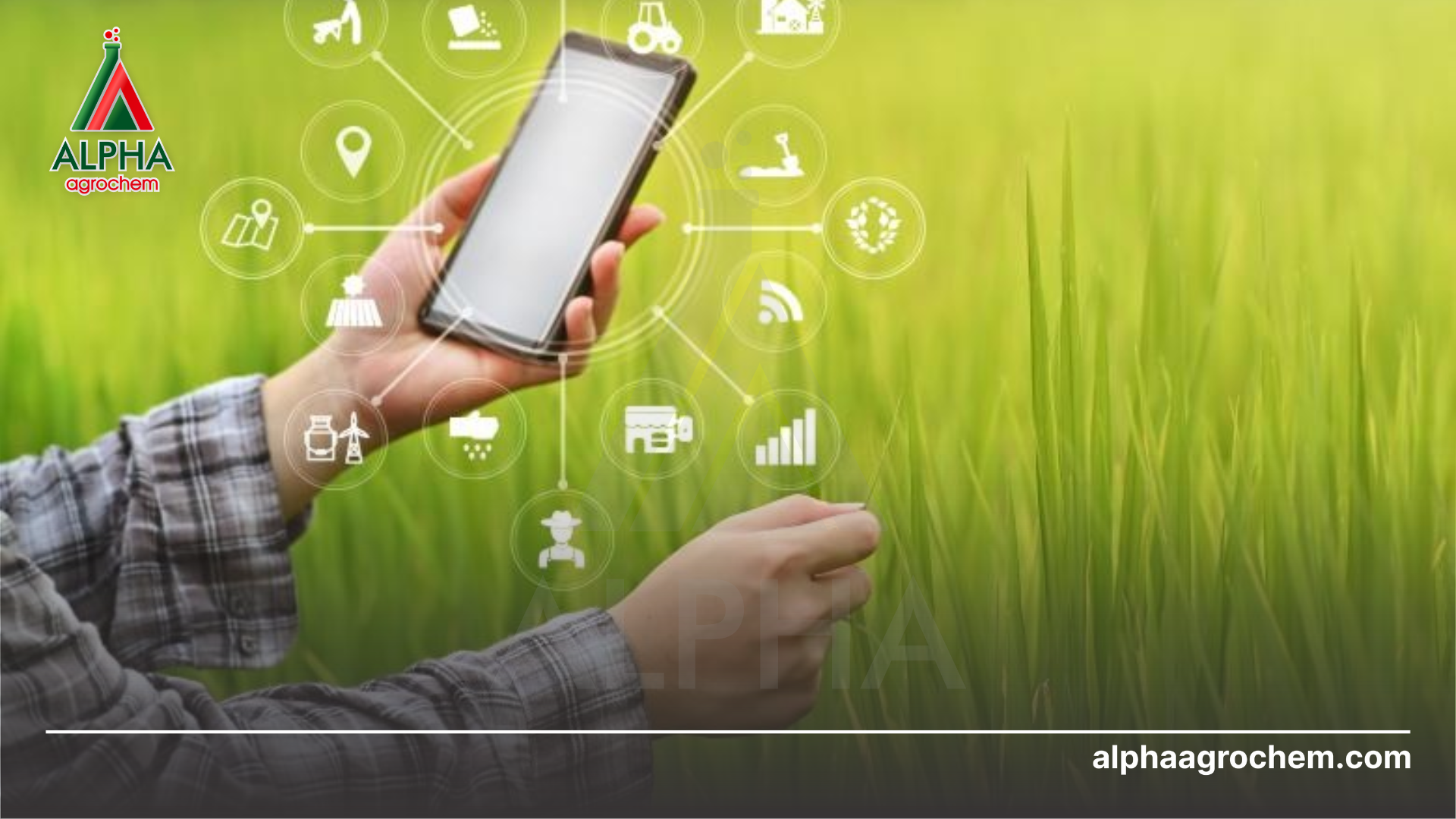 Tương lai nông nghiệp Việt Nam 