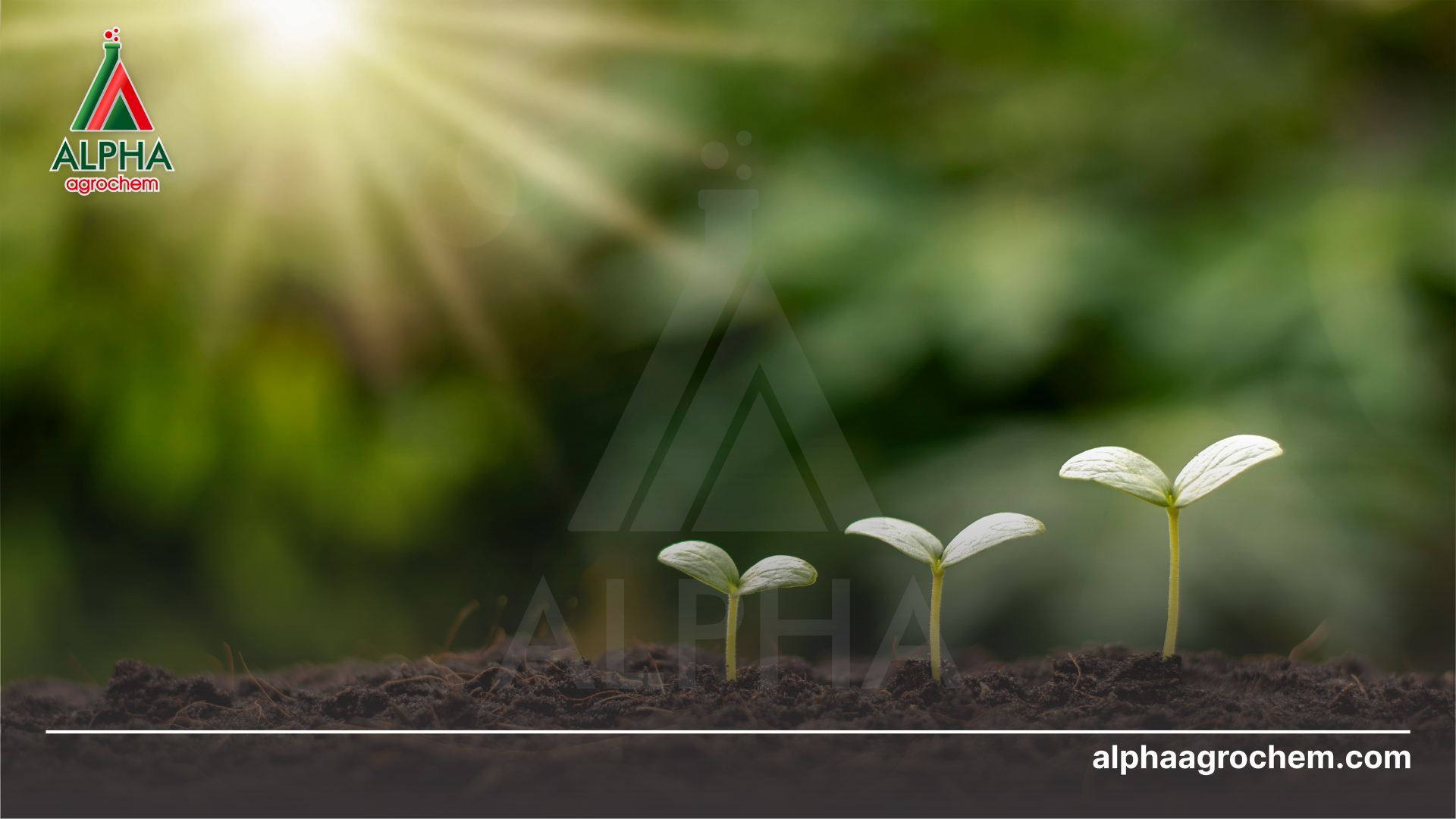 Ưu điểm của thuốc trừ sâu sinh học 