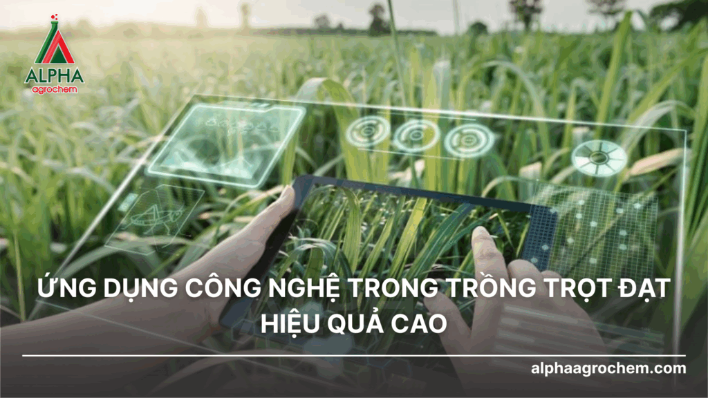 Ứng dụng công nghệ cao trong trồng trọt