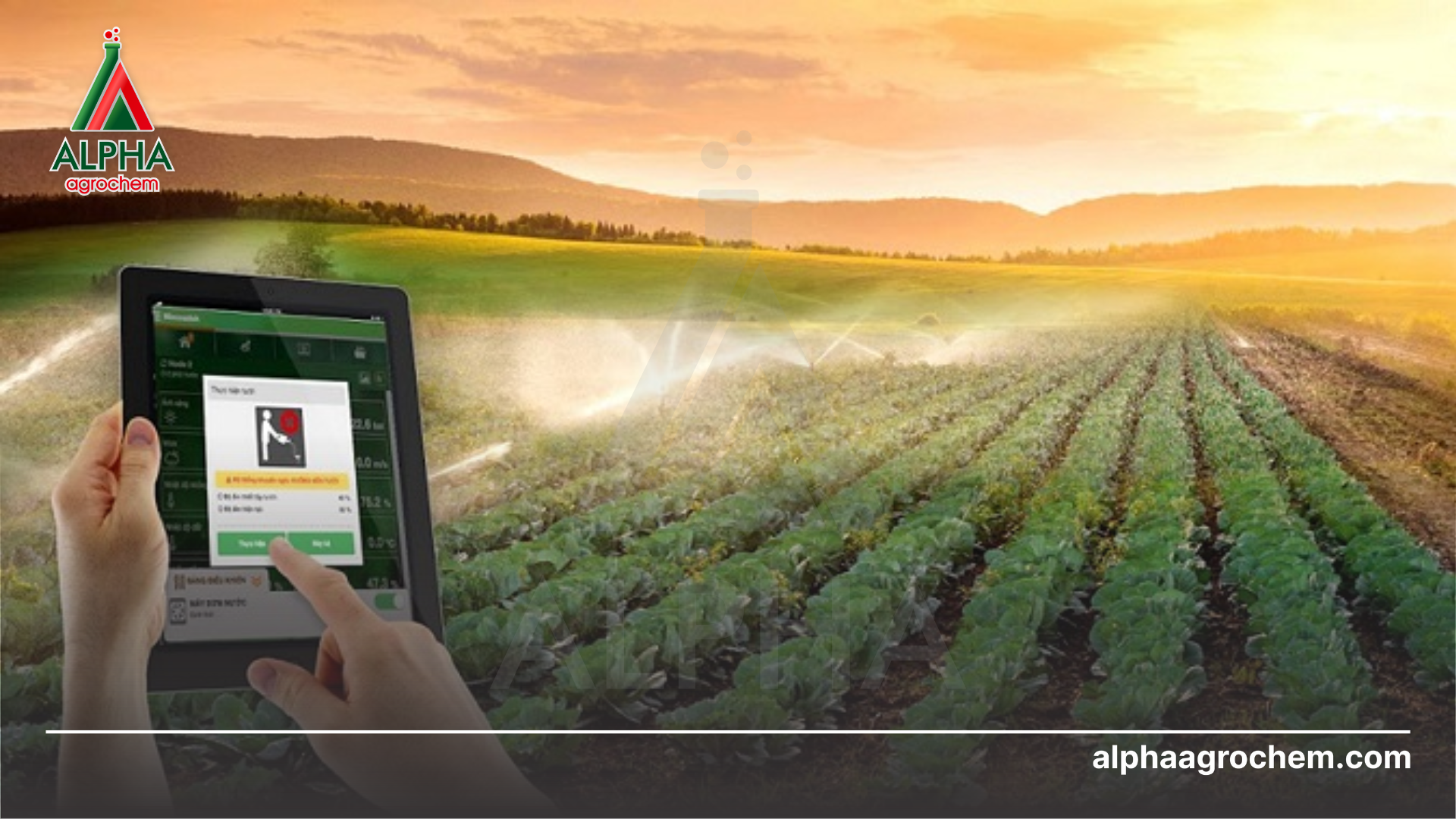 Ứng dụng giải pháp nông nghiệp 