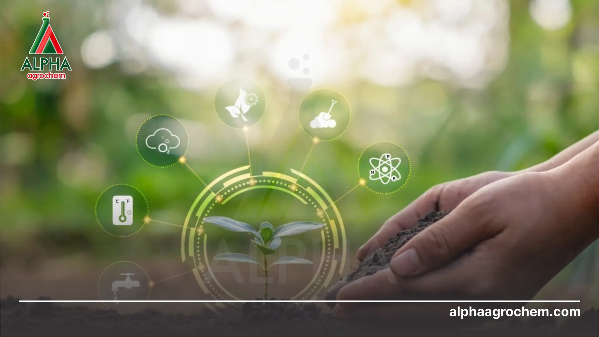 Ứng dụng và triển vọng của PBHCVS