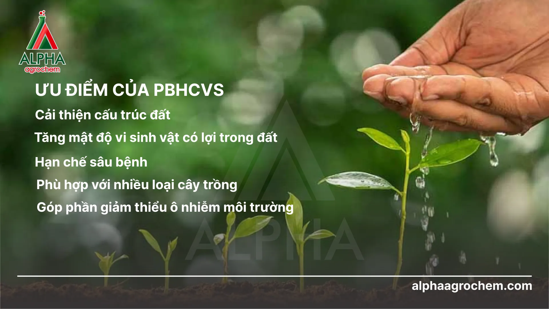 Ưu điểm của PBHCVS