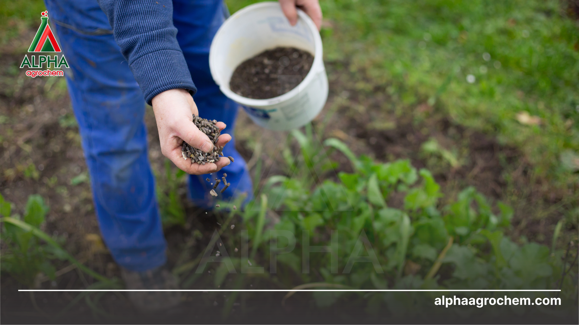 Gia công phân bón hữu cơ phù hợp với ai 