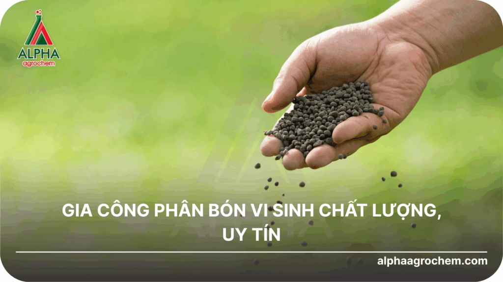 Gia công phân bón vi sinh
