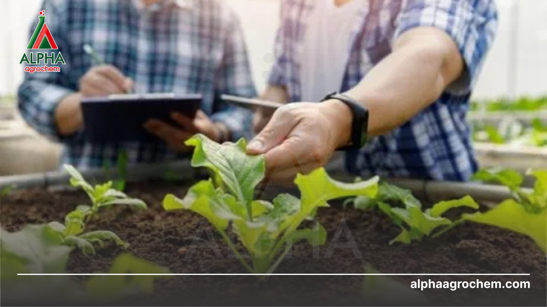 Lợi ích khi gia công tại Alpha 