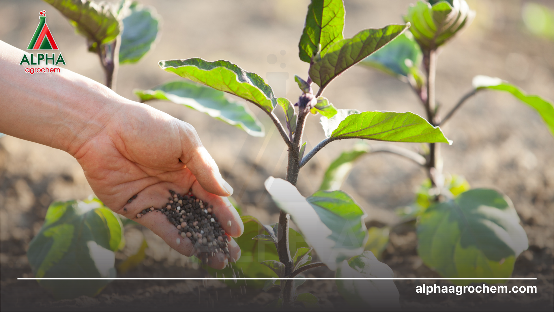 Lưu ý khi gia công phân bón hữu cơ 