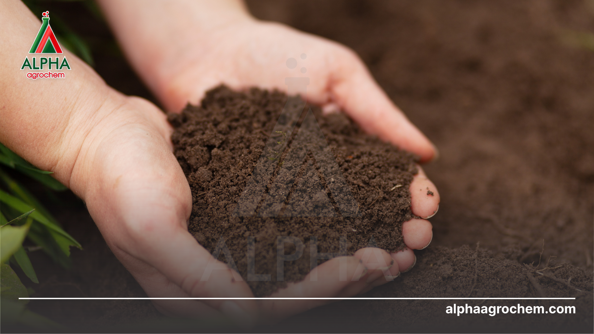 Vì sao nên gia công phân bón hữu cơ 