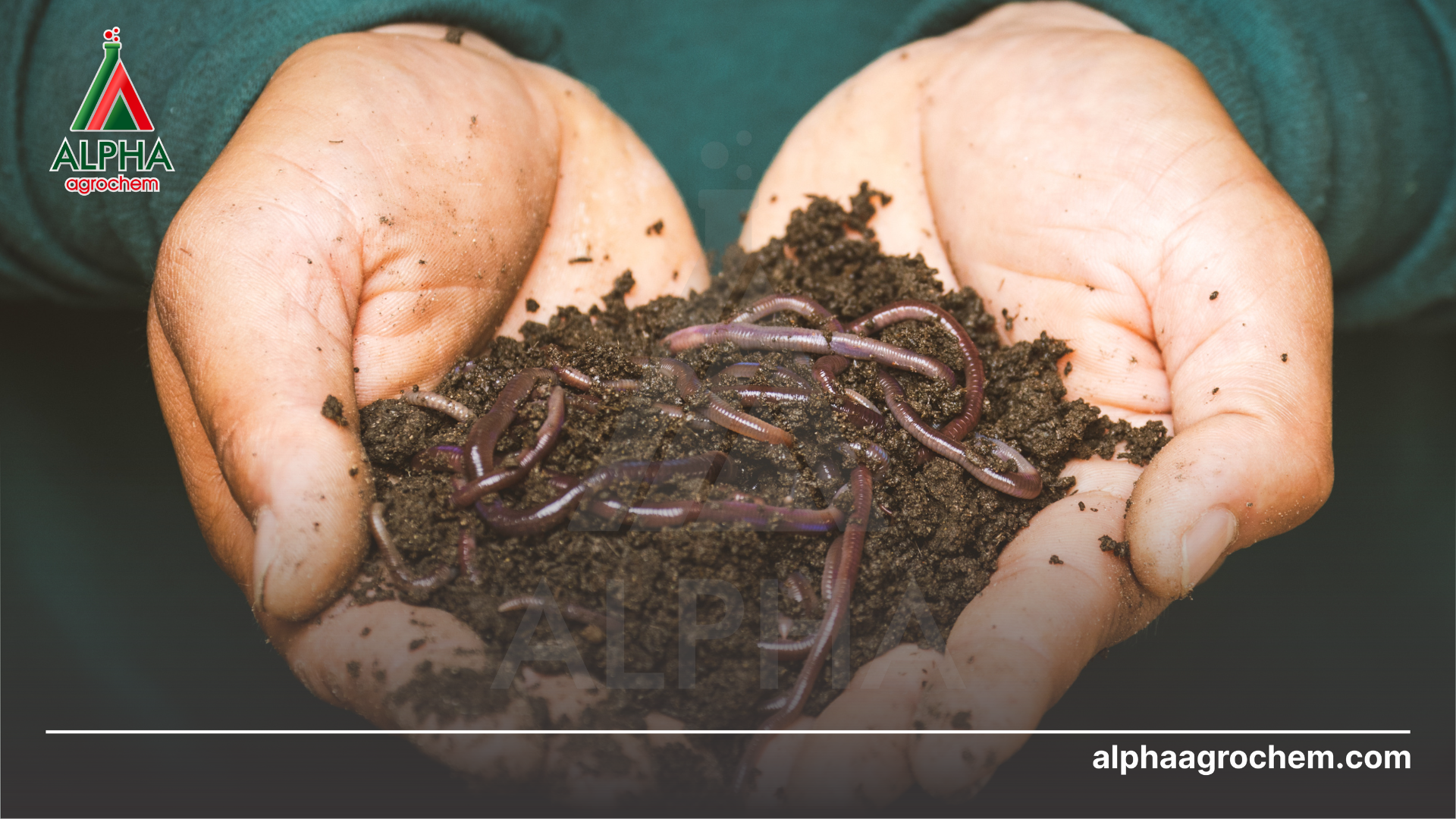 Khi nào nên dùng thuốc sinh học 