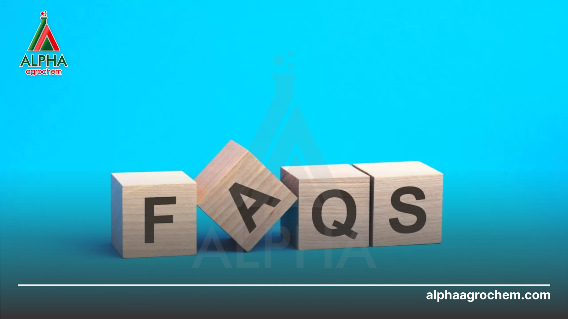 Câu hỏi thường gặp 