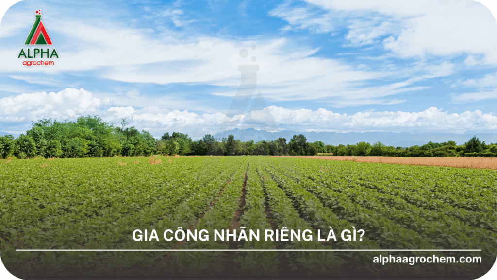Gia công nhãn riêng là gì