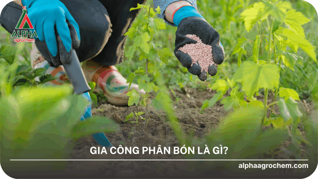 gia công phân bón lá là gì