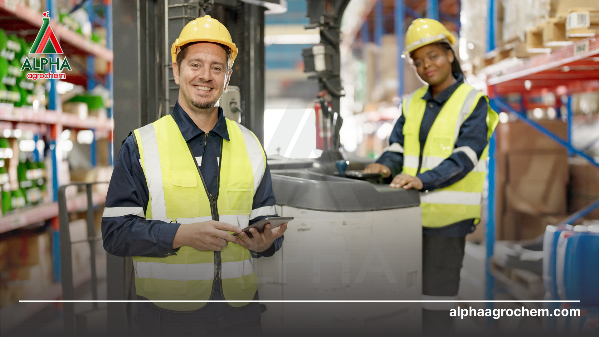 Lịch sử và uy tín của Alpha 