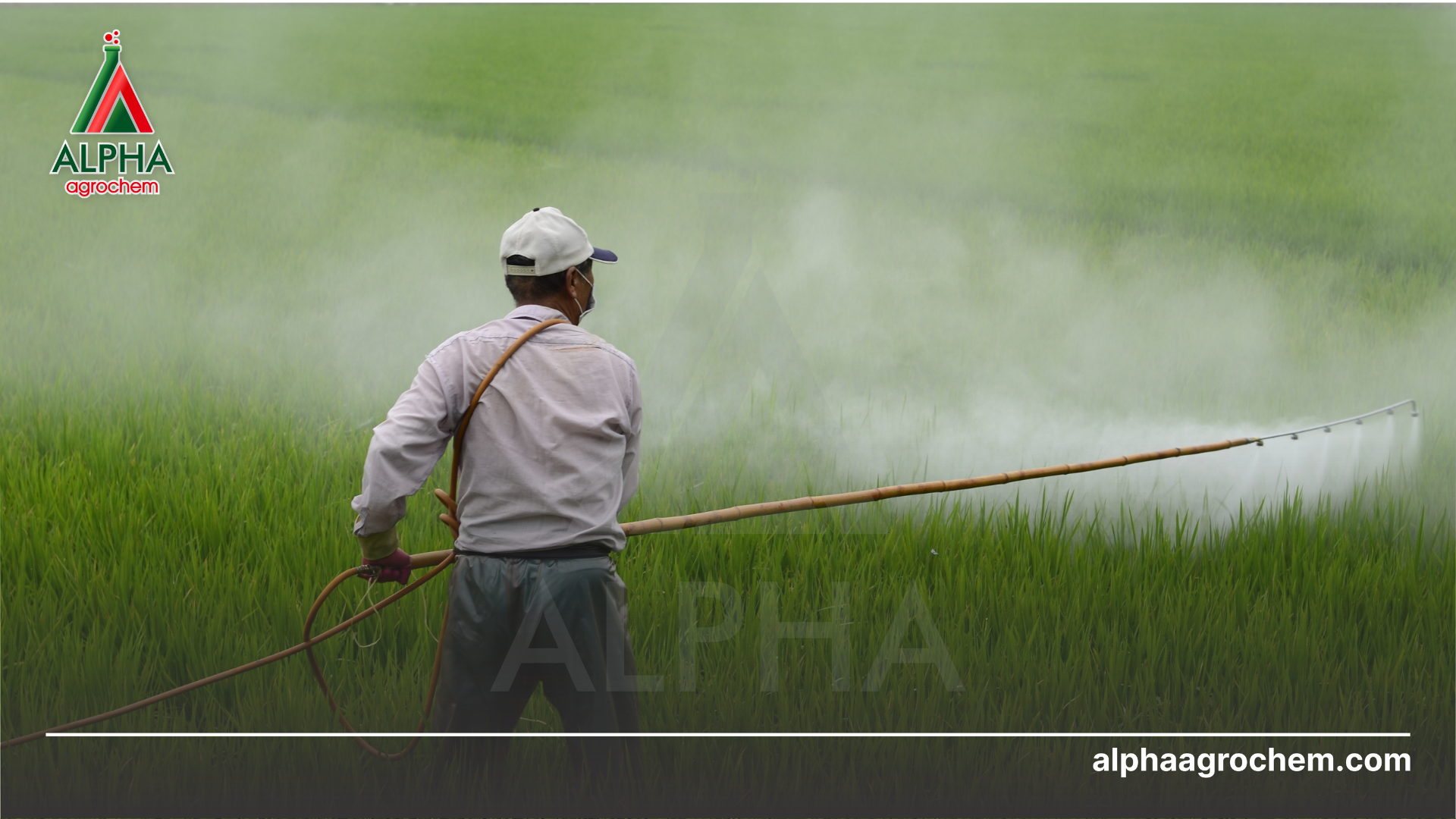 Lưu ý khi sử dụng 