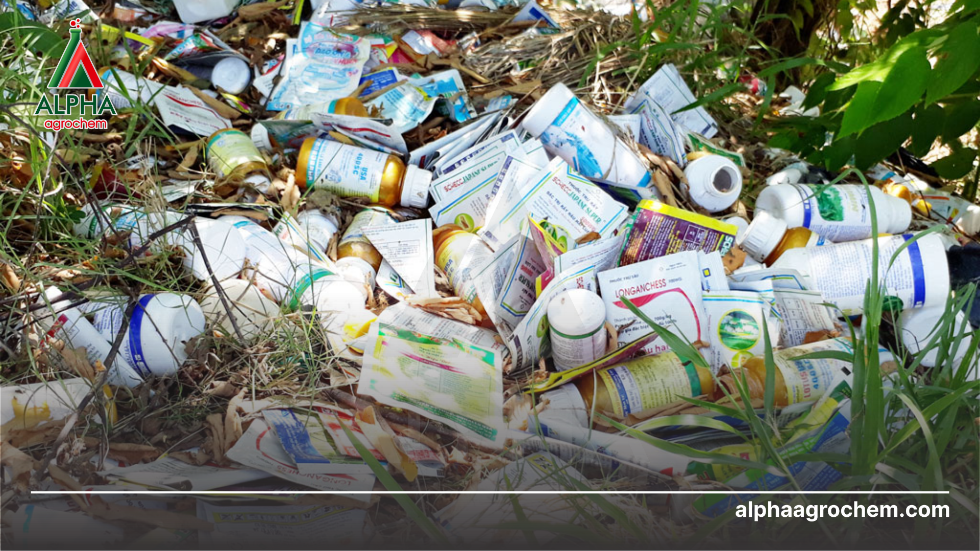 Tác hại thuốc bvtv 