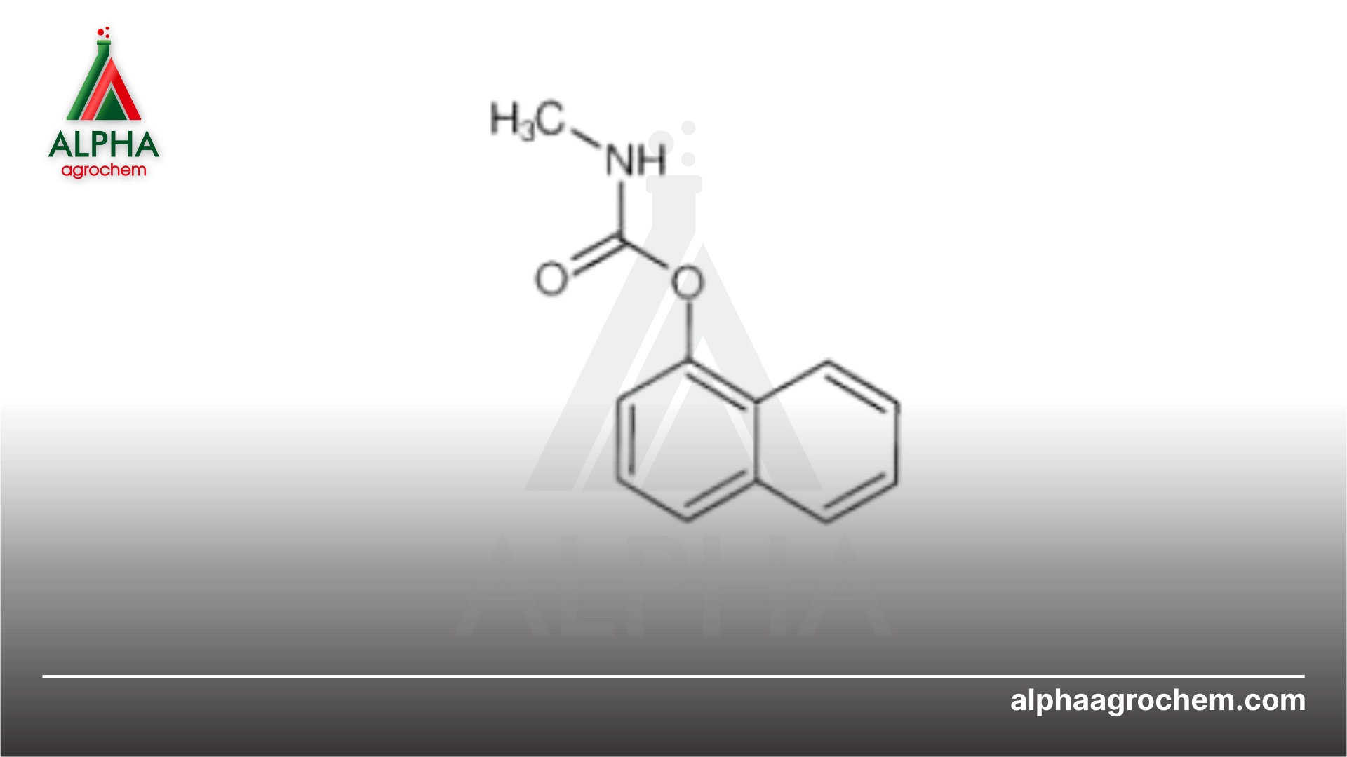 Thông tin Carbaryl