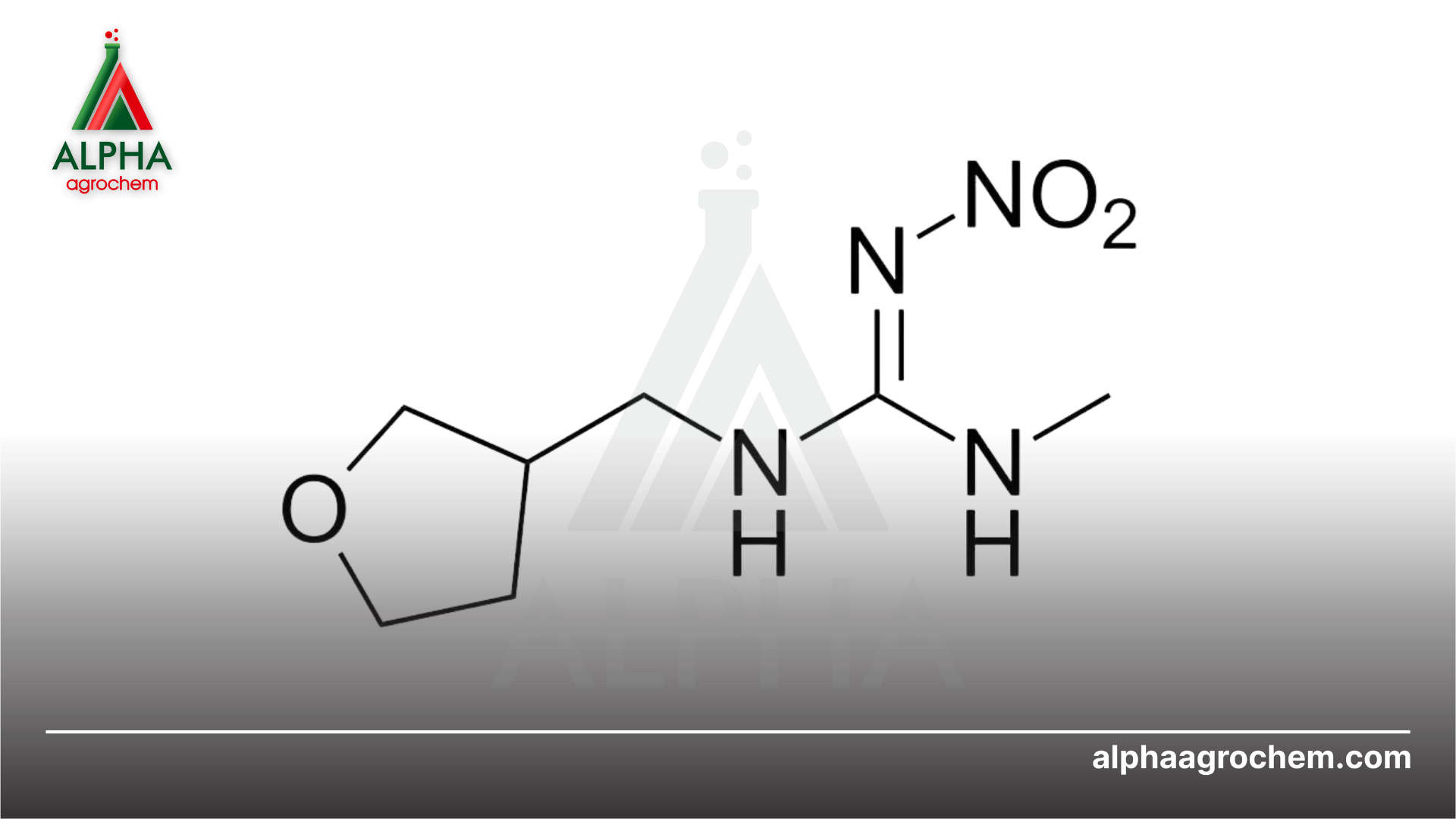Thông tin Dinotefuran
