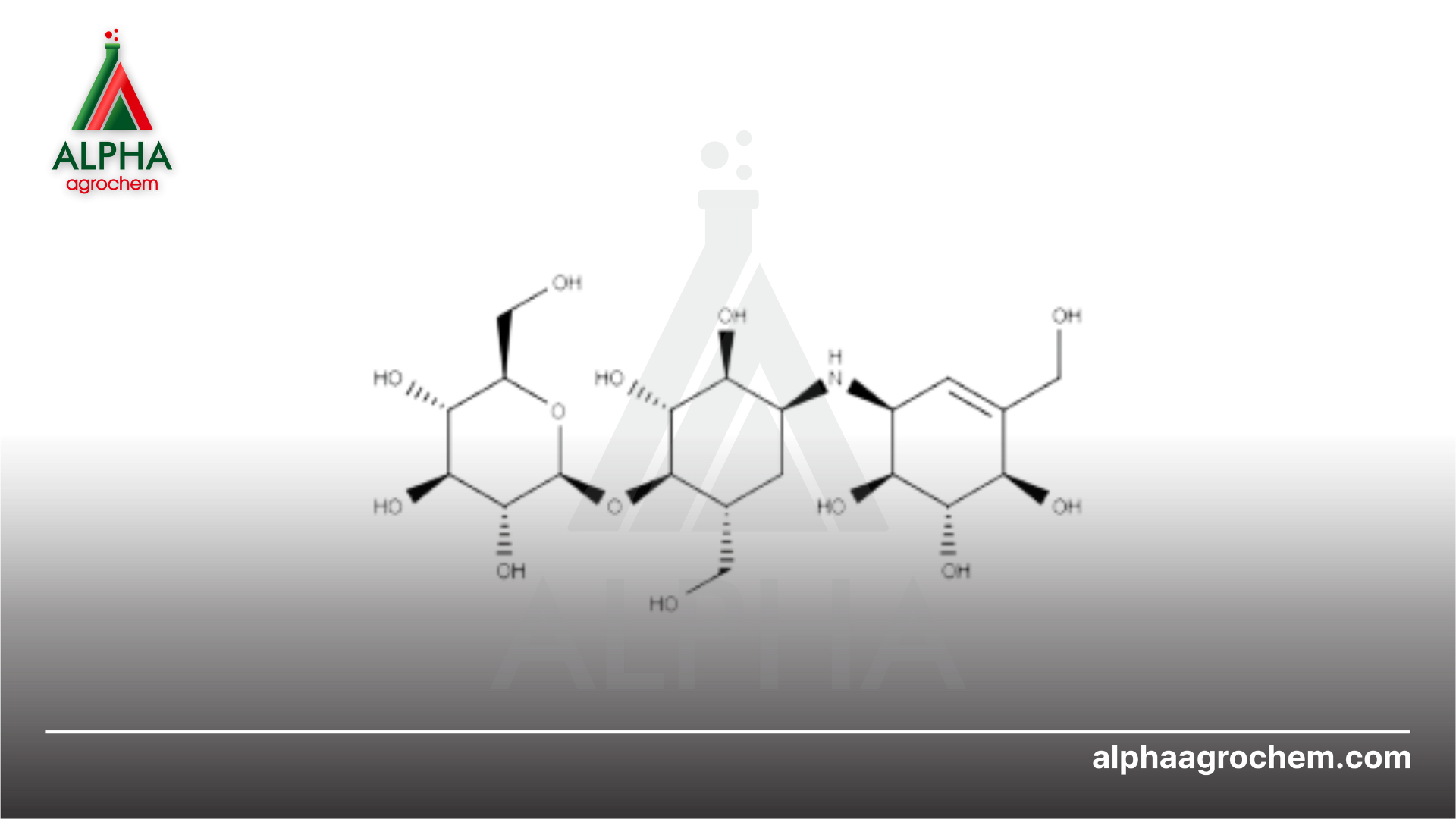 Thông tin Validamycin