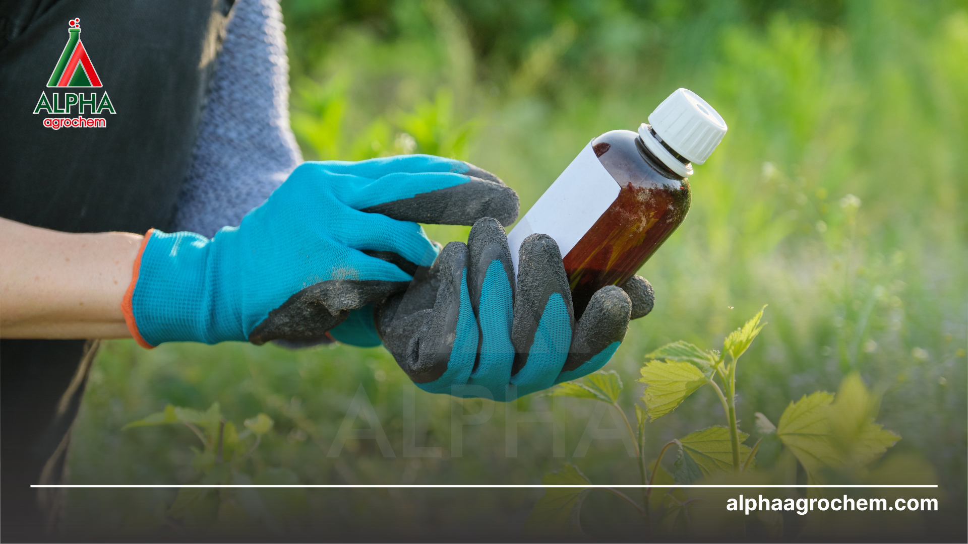 Thuốc bvtv là gì 