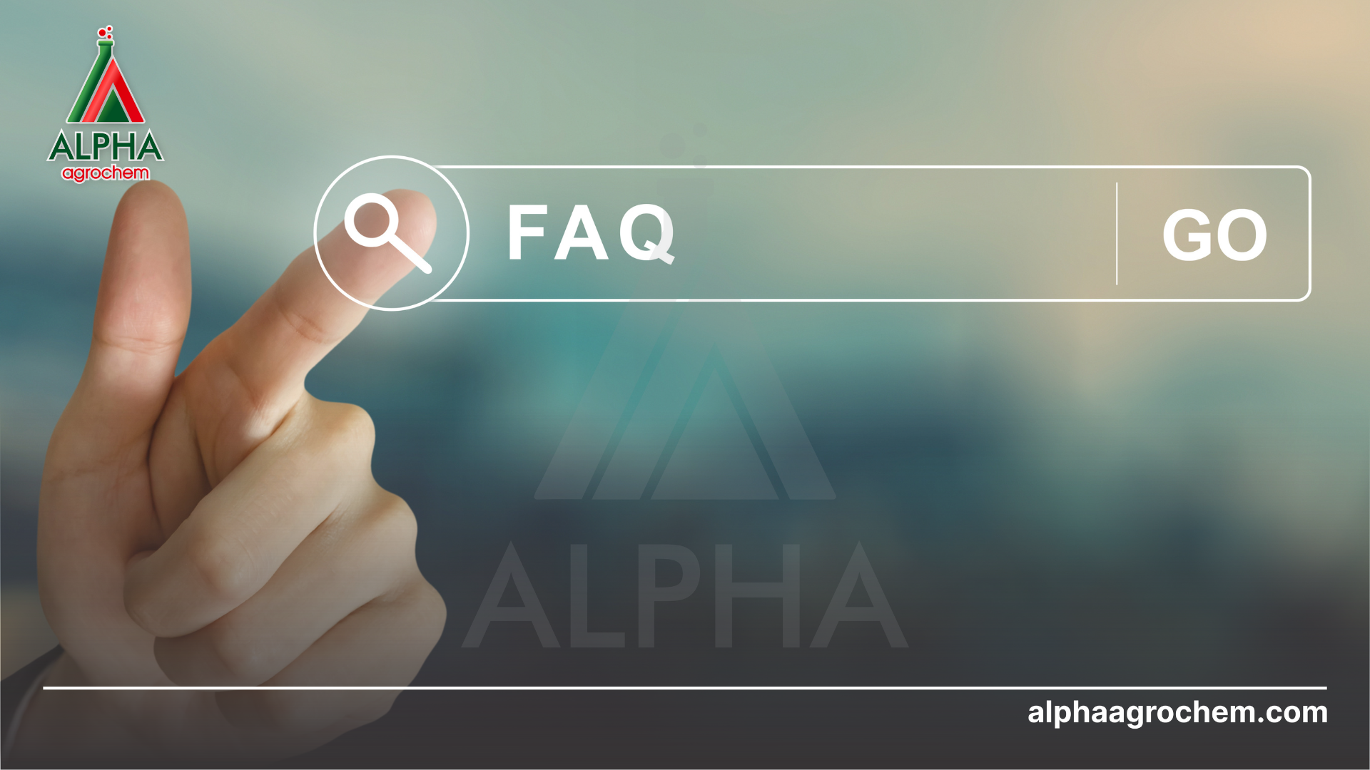 Câu hỏi thường gặp 