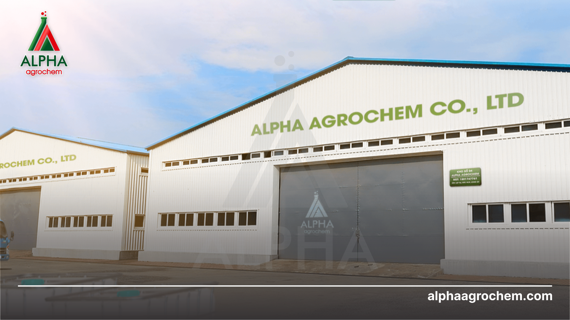 Giải pháp Alpha mang đến cho doanh nghiệp 