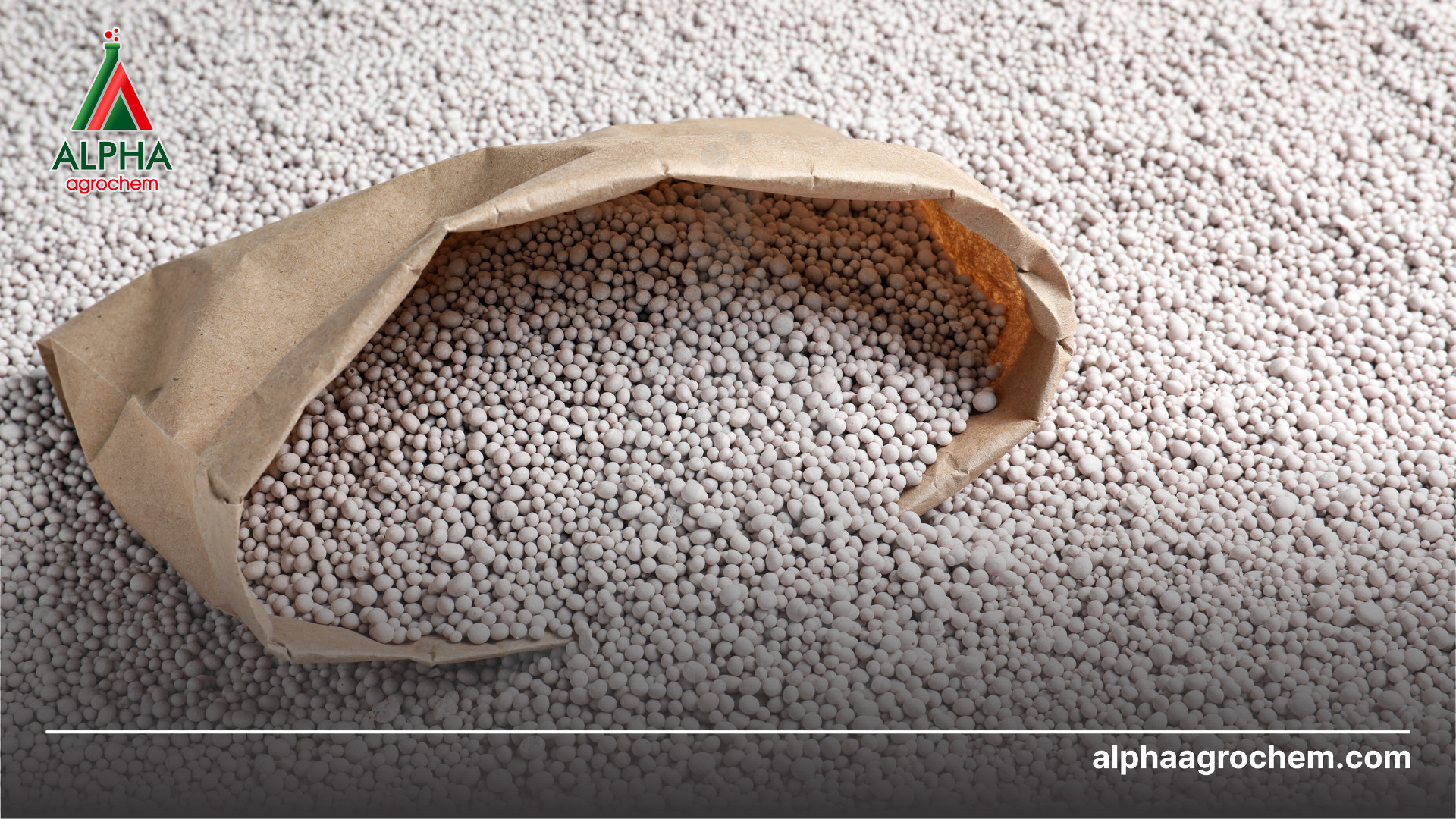 Các nhóm nguyên liệu chính 