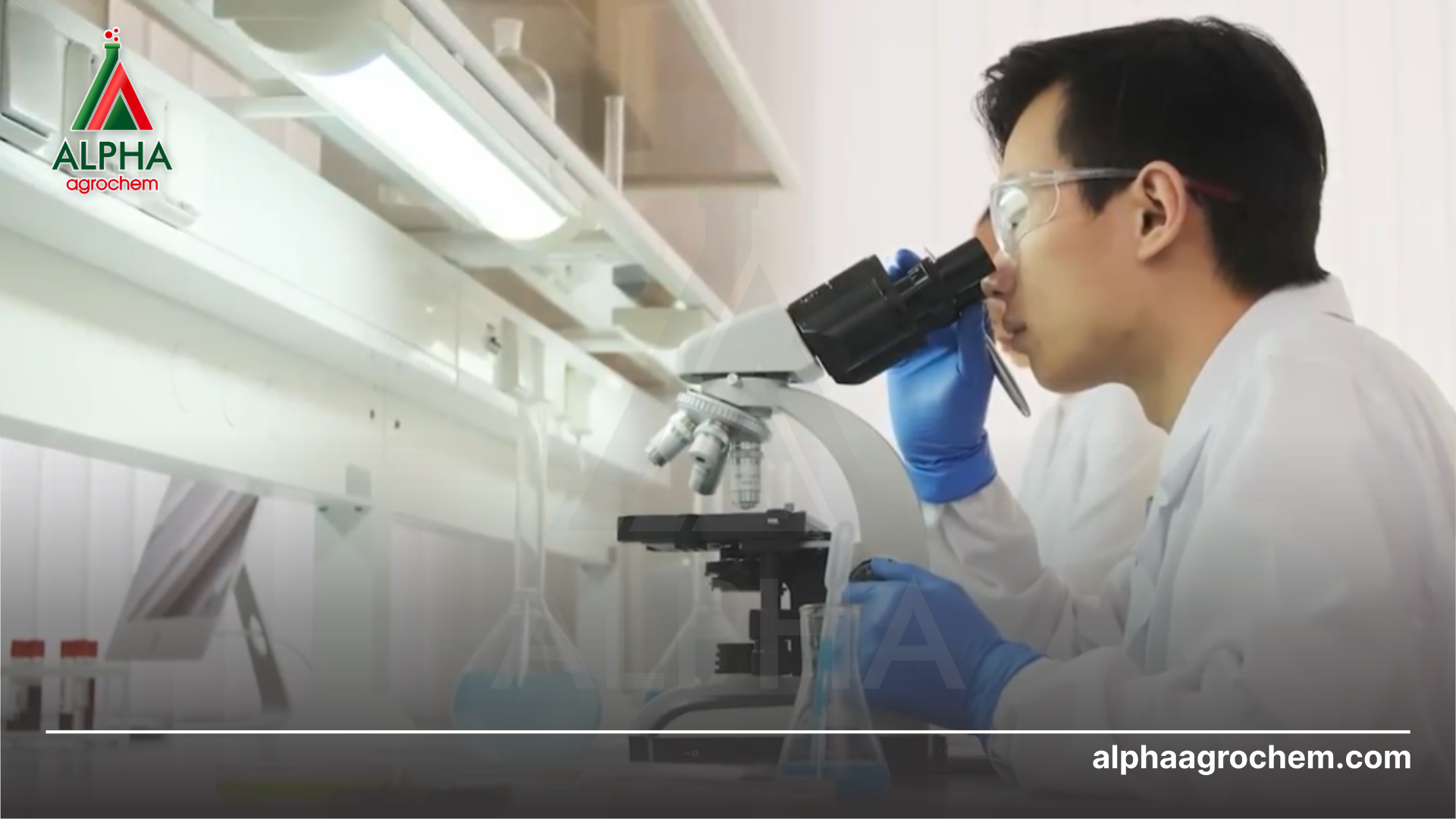 Quy tình gia công phân bón theio yêu cầu tại Alpha