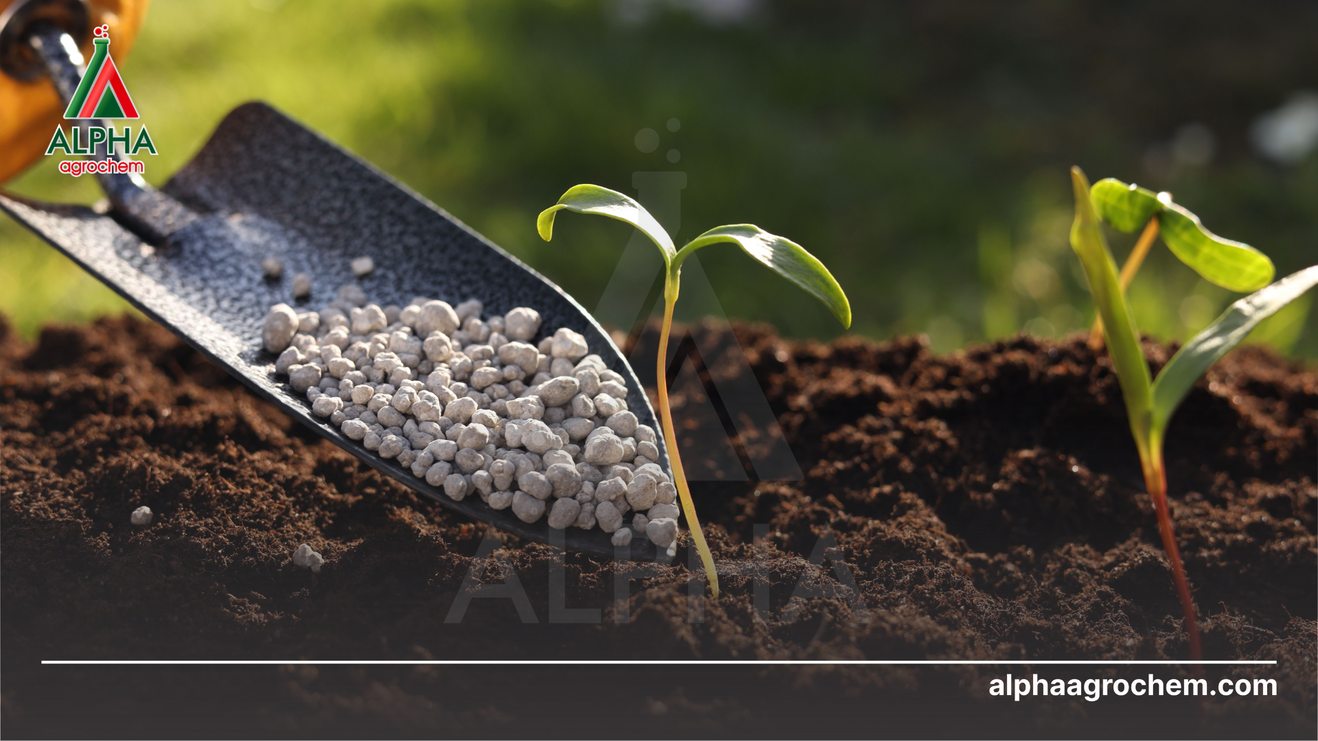 Thách thức trong chọn nguyên liệu 