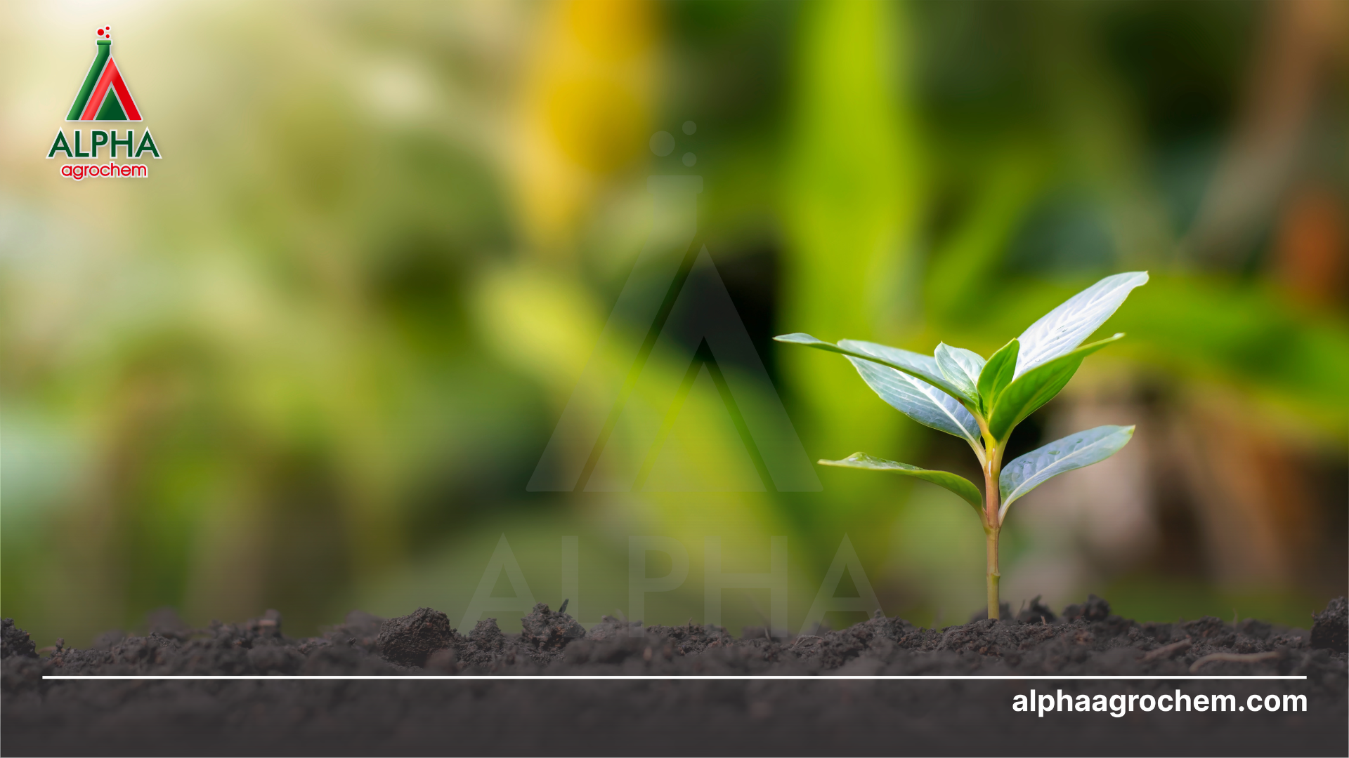 Tổng quan gia công thuốc BVTV trọn gói 