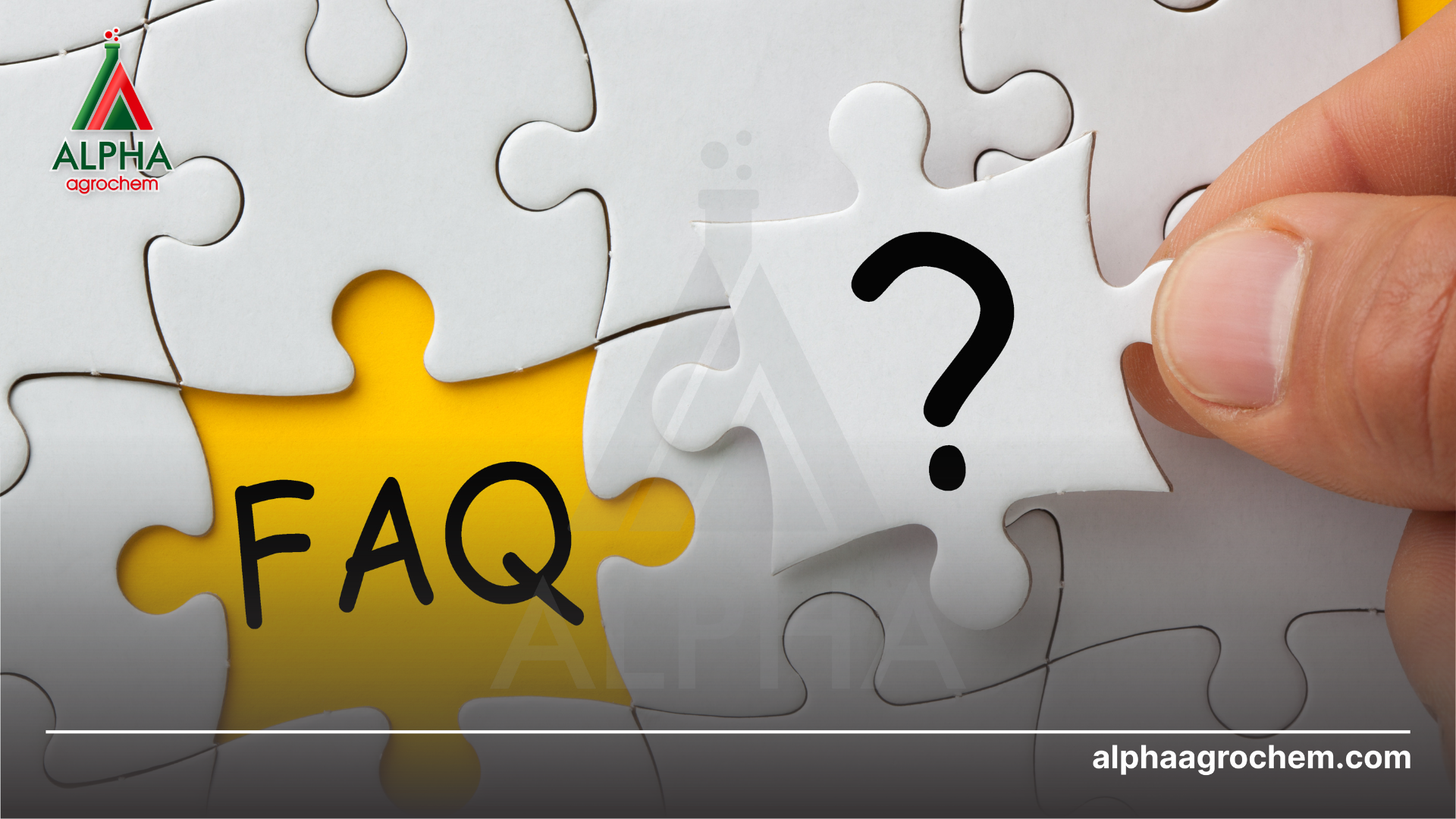 Câu hỏi thường gặp 