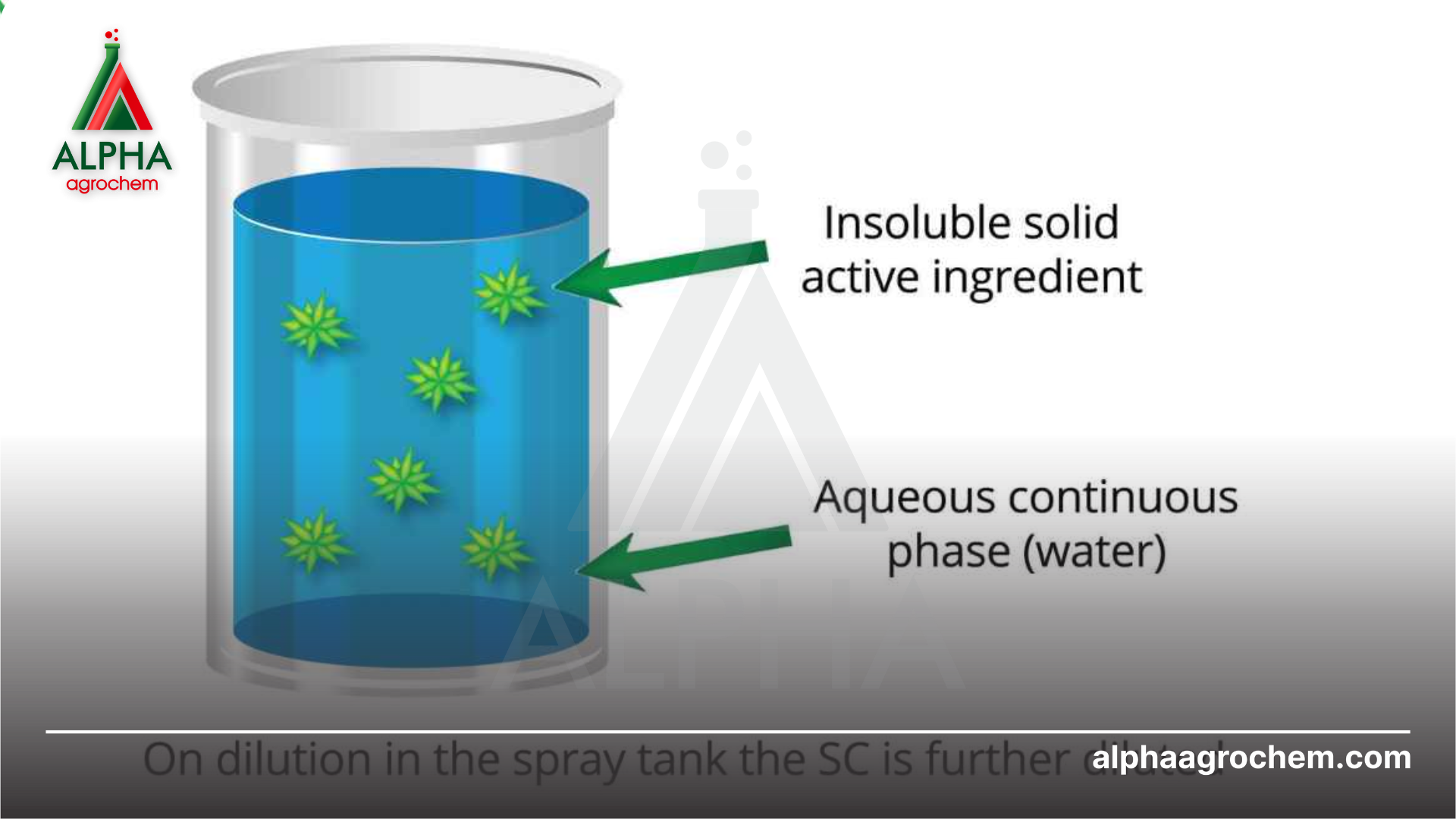 Dạng thuốc SC là gì?