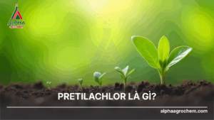 Pretilachlor