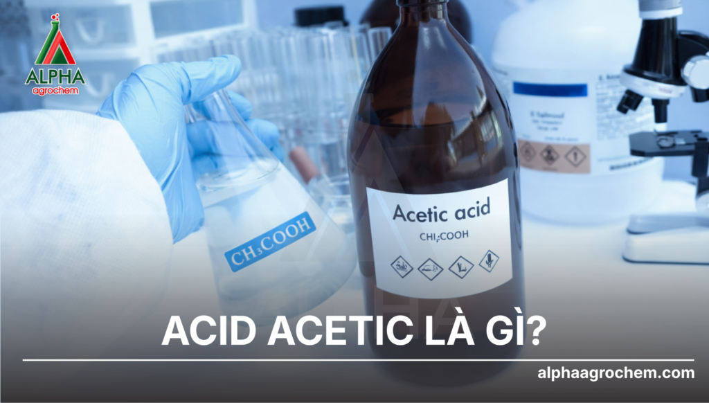 Acid Acetic