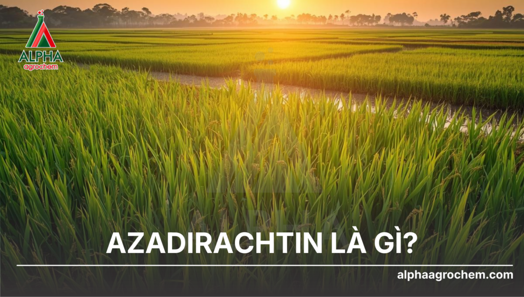 Azadirachtin