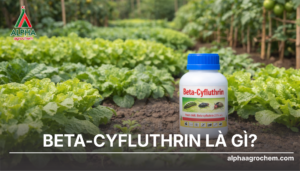 Beta-cyfluthrin