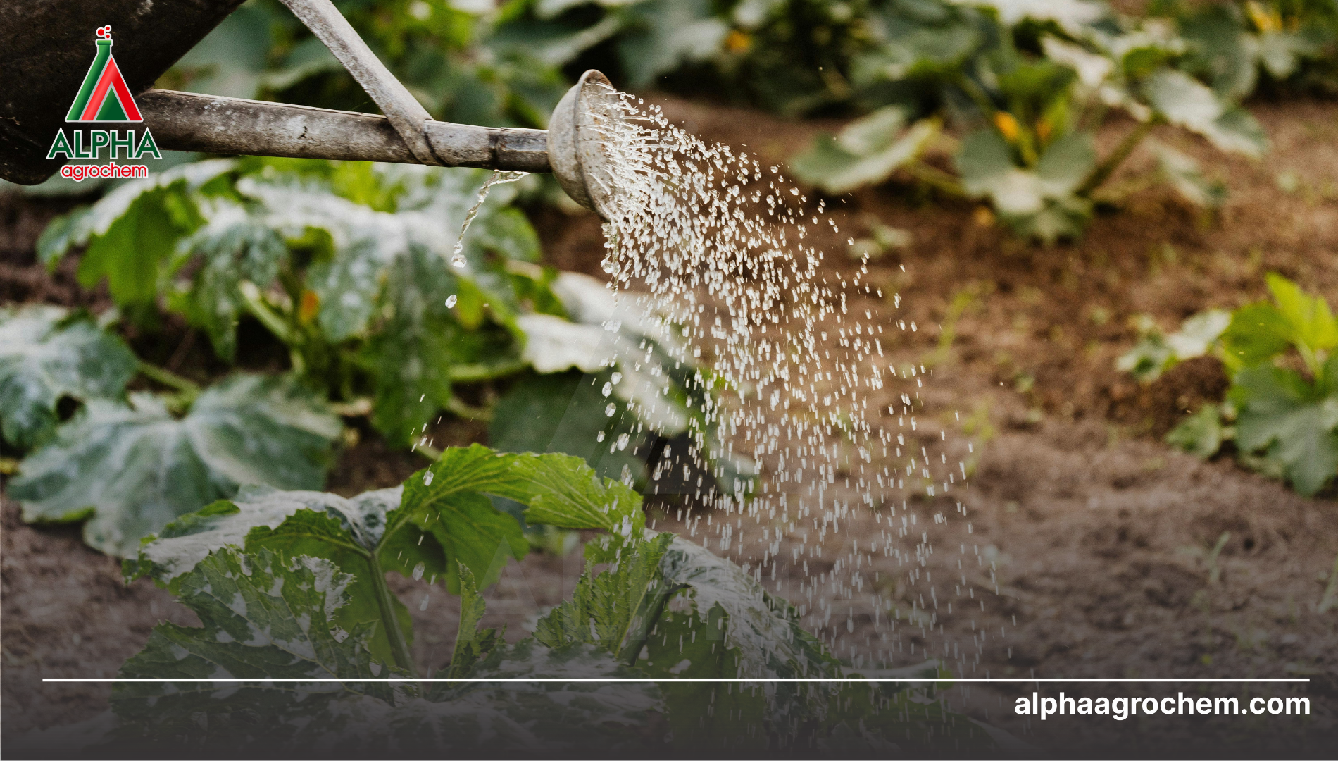 Câu hỏi thường gặp 