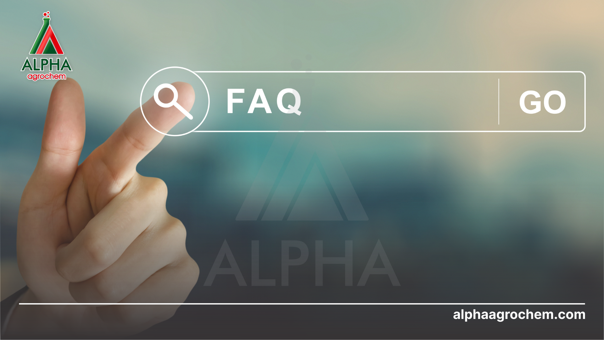 Câu hỏi thường gặp