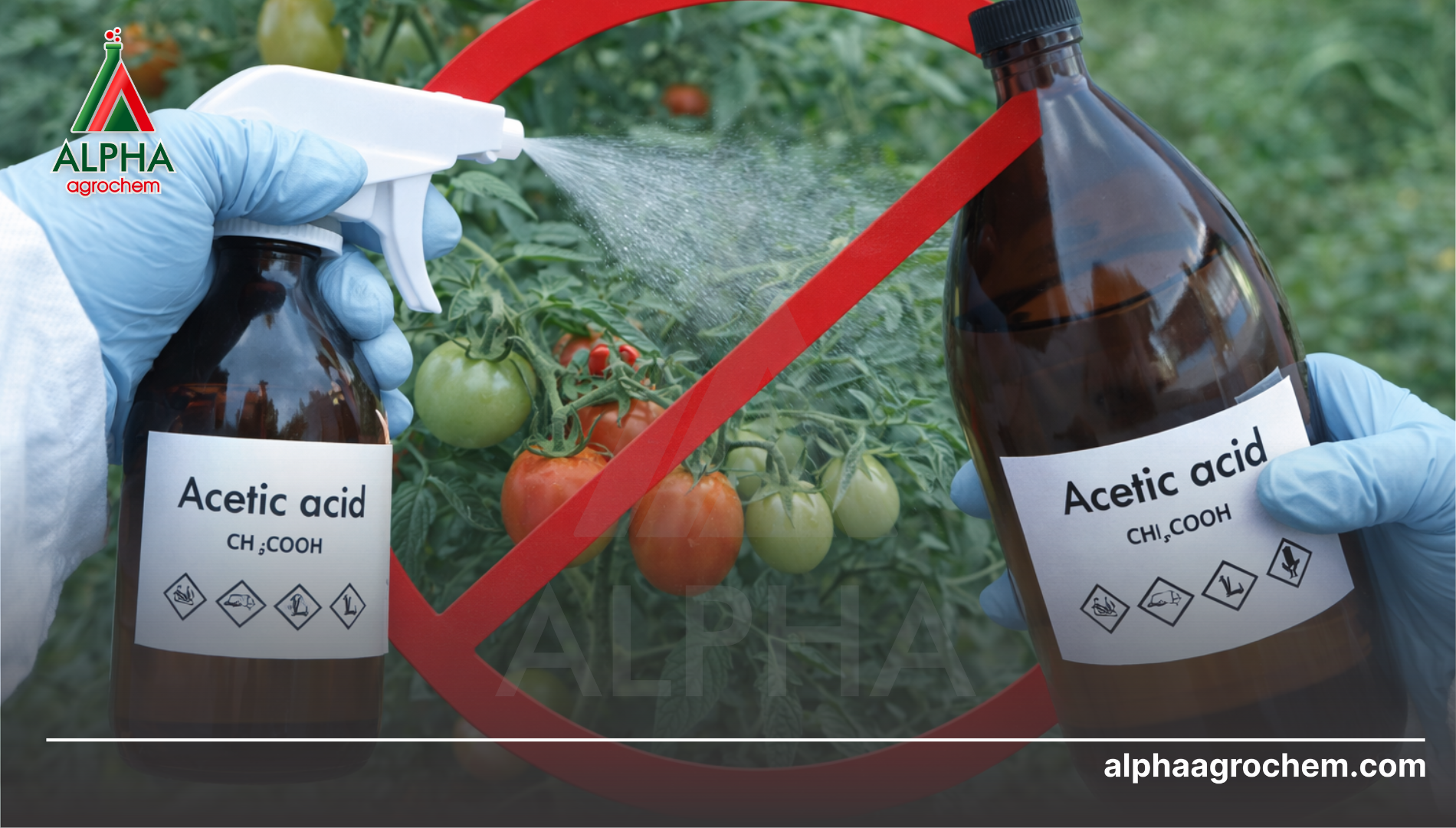 Câu hỏi thường gặp