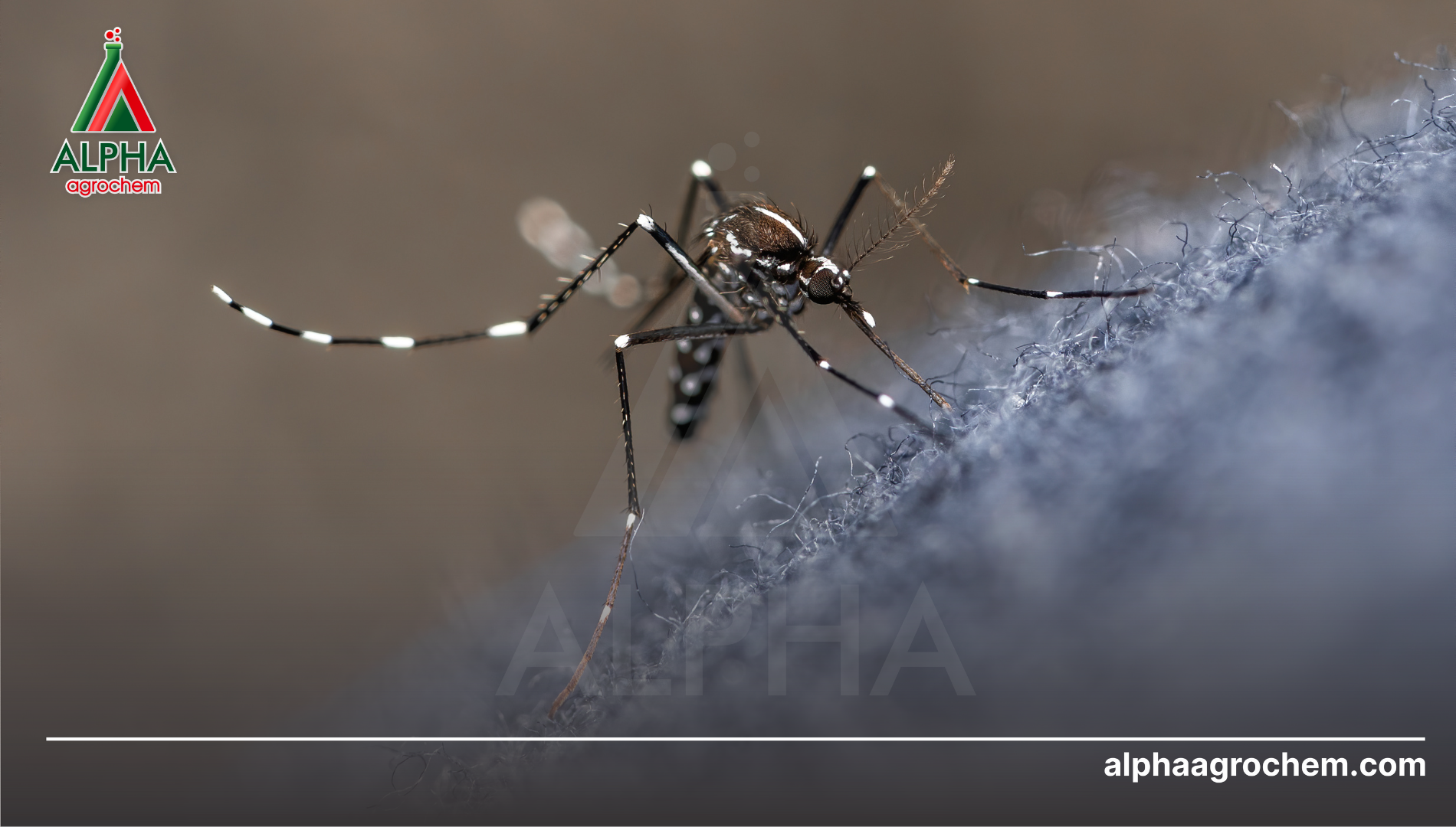 Câu hỏi thường gặp