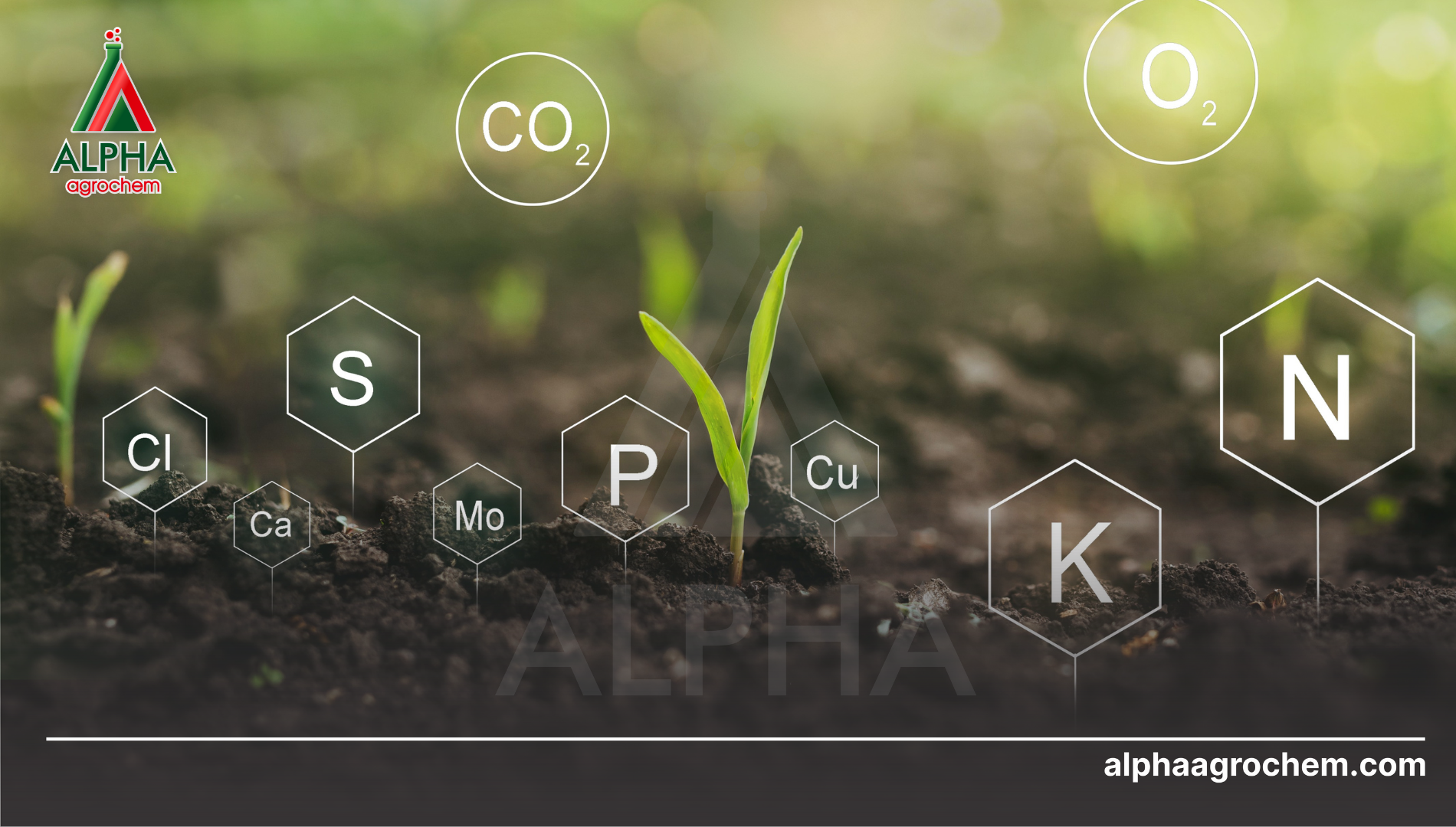 Câu hỏi thường gặp