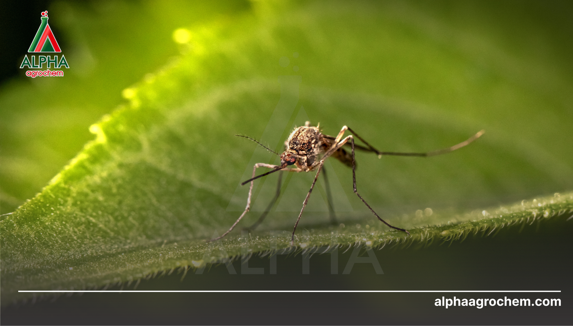 Câu hỏi thường gặp 