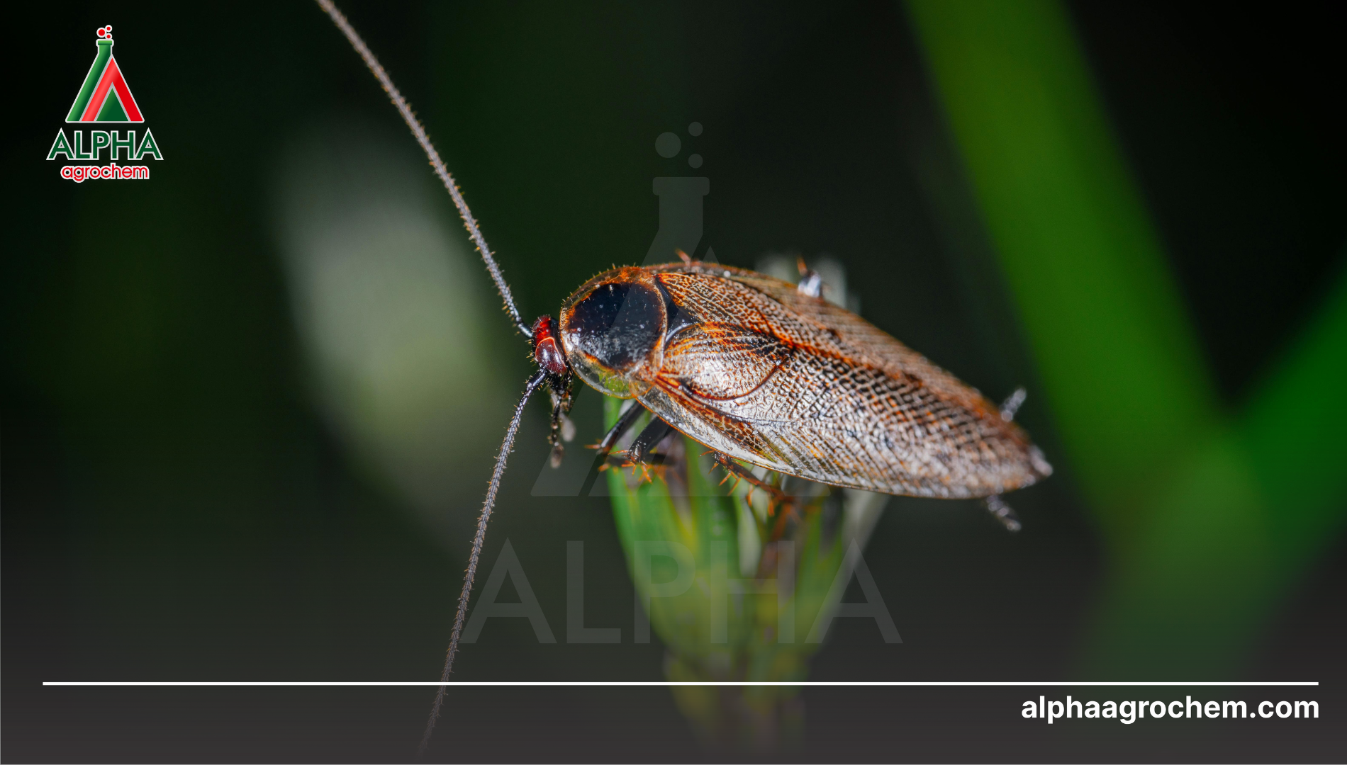 Câu hỏi thường gặp 