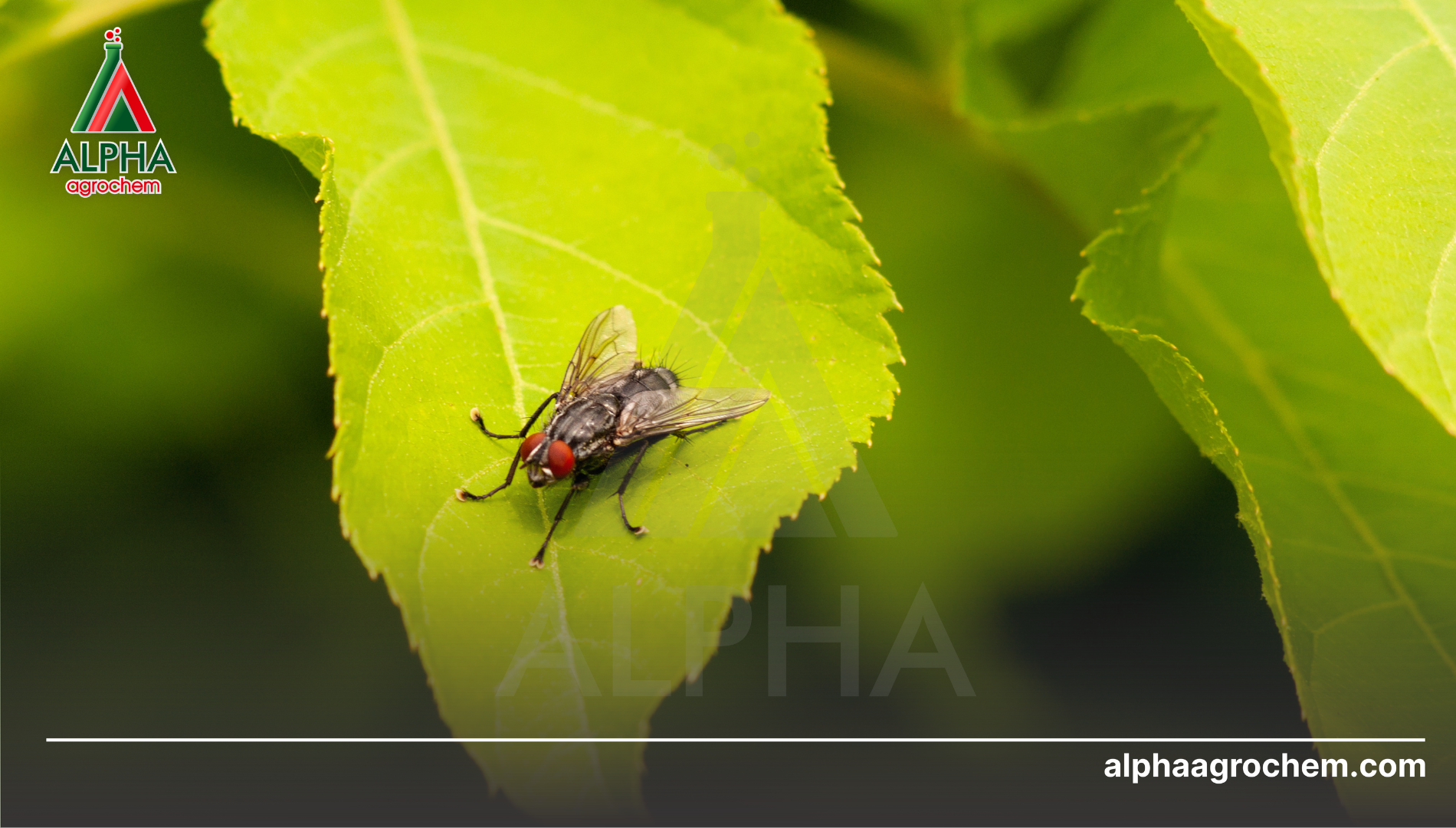 Câu hỏi thường gặp