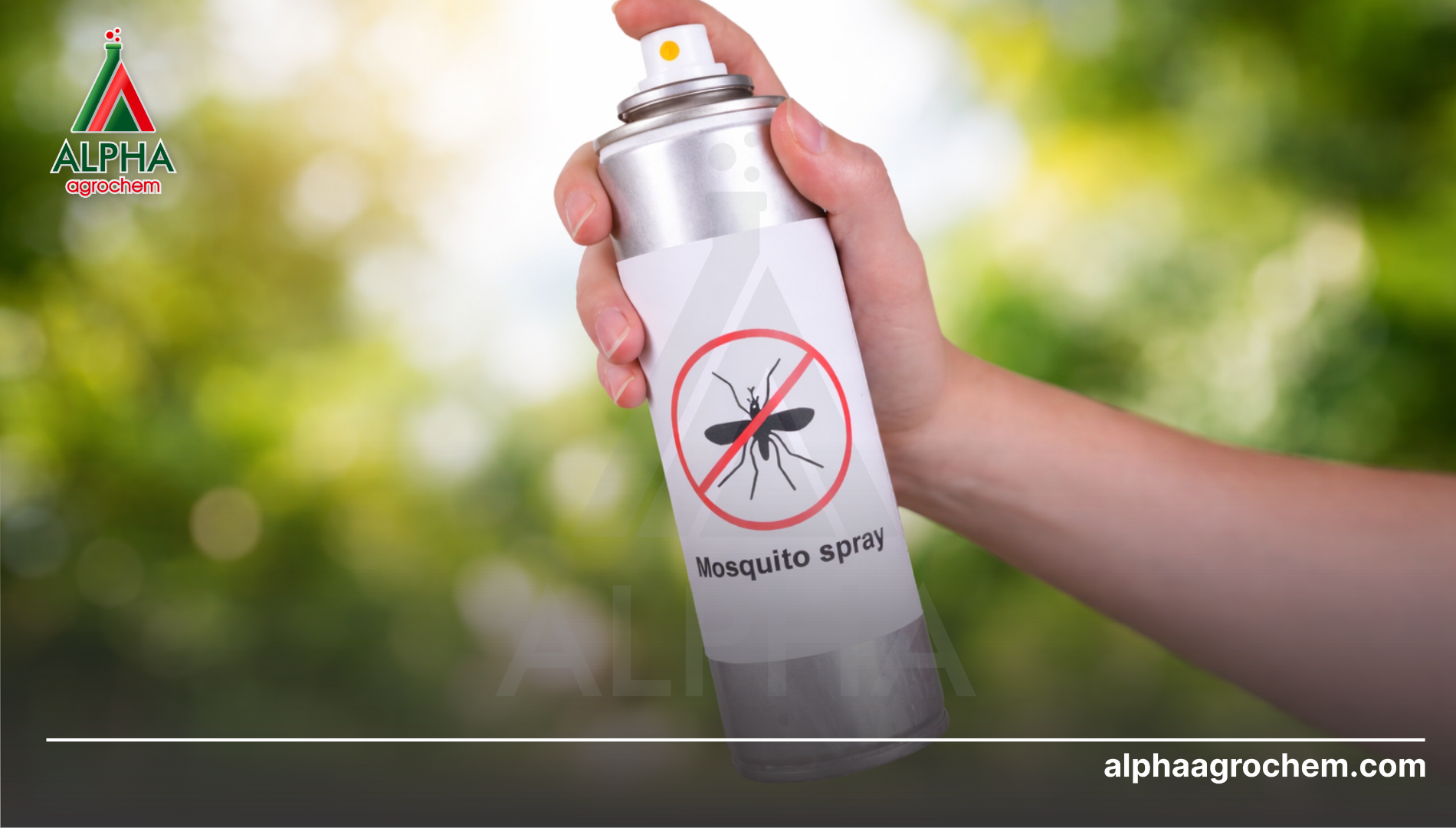 Công dụng của D-Phenothrin