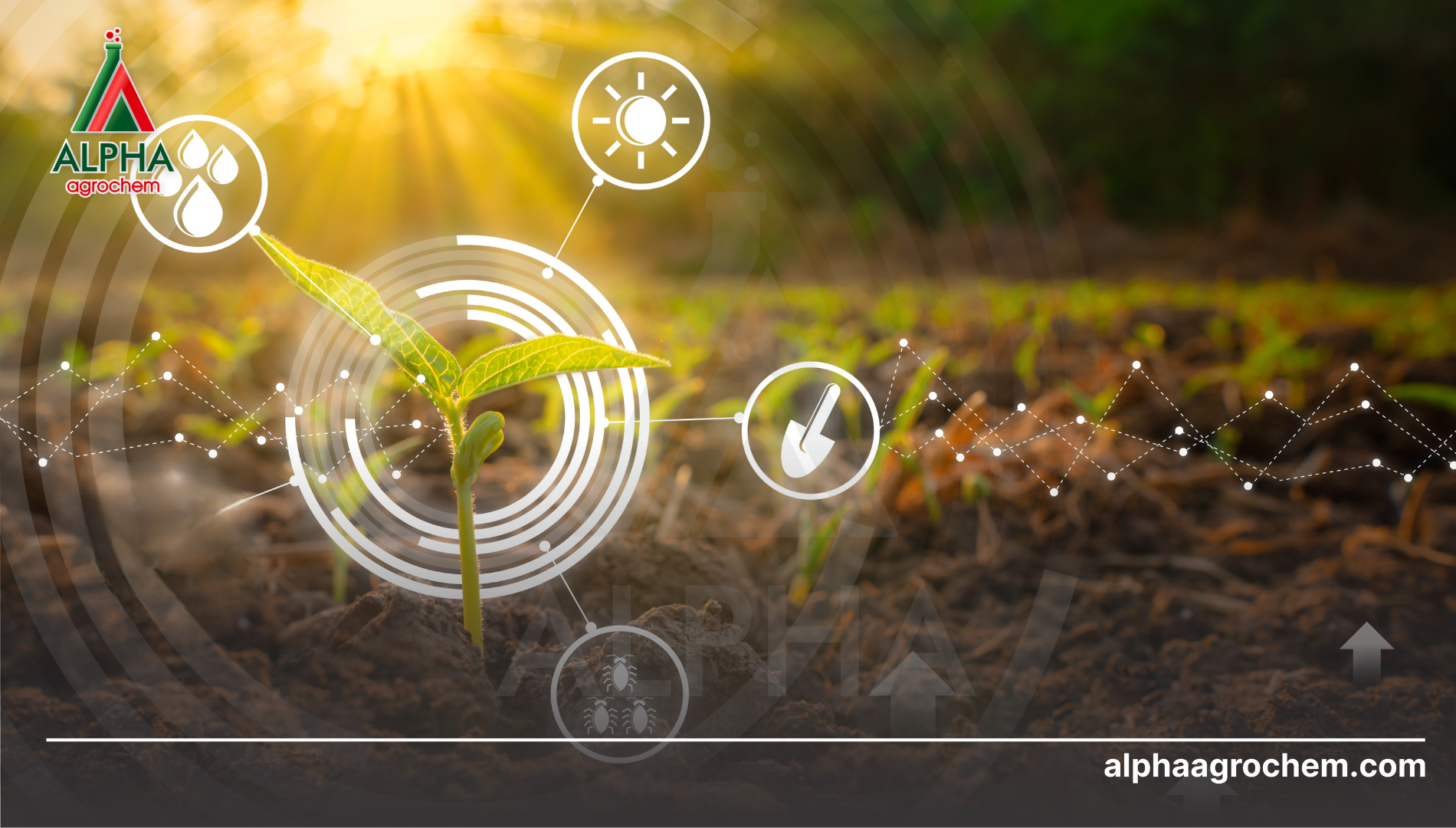 Công dụng của Peracetic Acid trong nông nghiệp