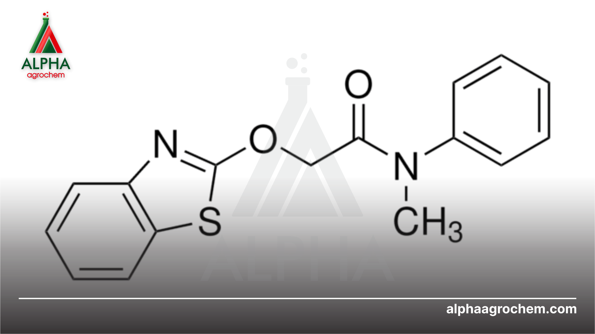 Thông tin chung về Mefenacet