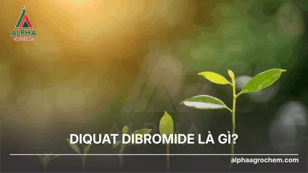 Diquat dibromide