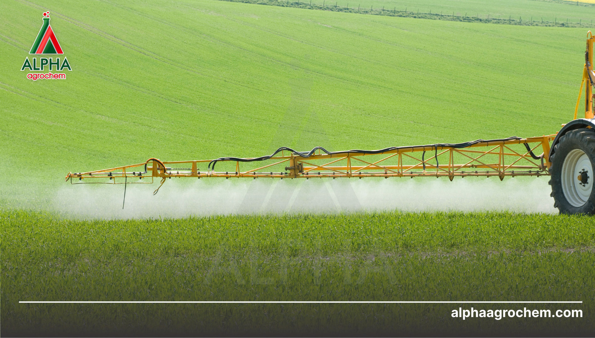 Hướng dẫn sử dụng Bentazone