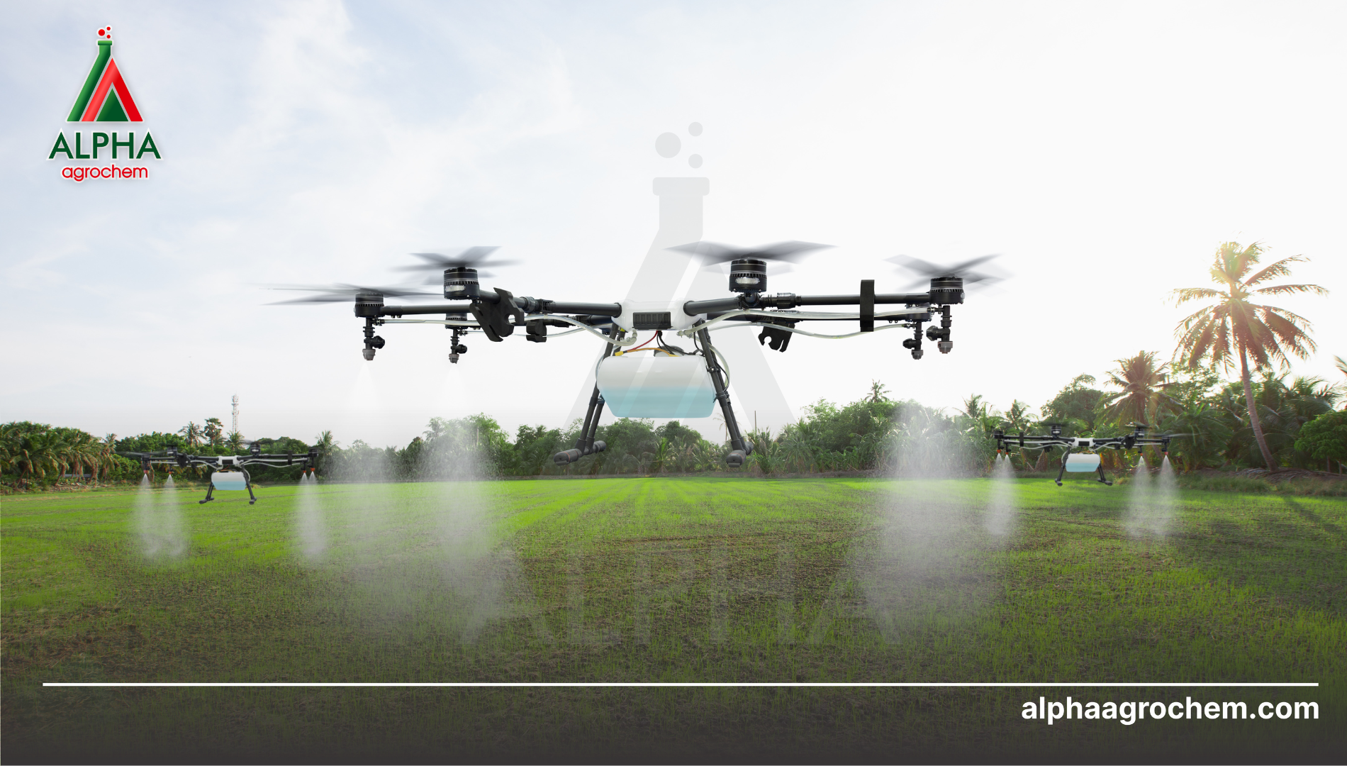 Khuyến cáo sử dụng Butachlor