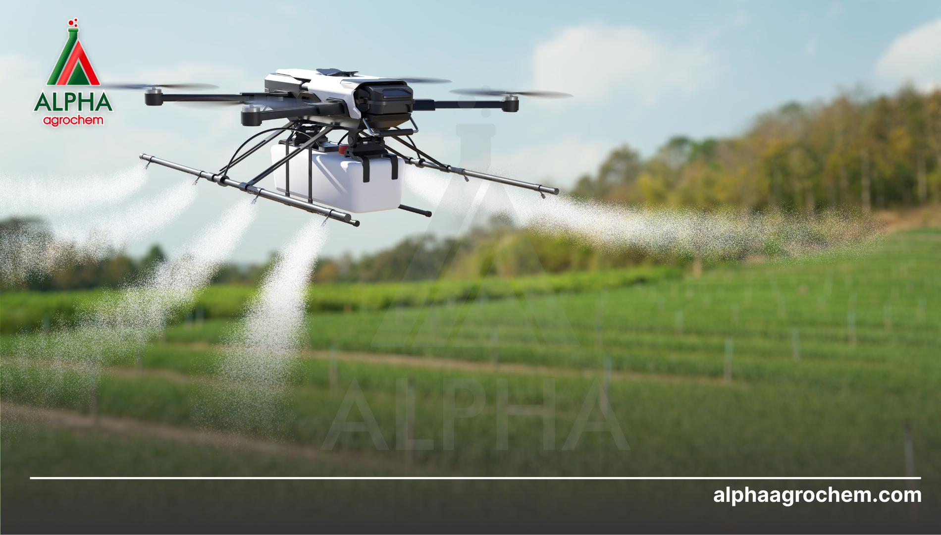 Hướng dẫn sử dụng Ethoxysulfuron