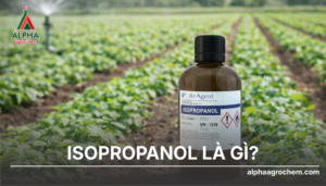 Isopropanol